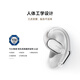 Xiaomi (MI) Xiaomi Open Headphones Pro Earhook 5-unit Comfortable Wearing Bluetooth Headphones Suitable for Android and Apple Phones Titanium Gold