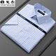Yager official flagship store 100% pure cotton short-sleeved shirt for men's summer high-end casual professional formal wear without ironing white shirt DX6624 [Purple pinstripe] 40 [Suggested 130-145Jin [Jin equals 0.5 kg]]