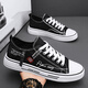 Li Ning Trendy Canvas Shoes Men's Summer 2025 New Breathable Classic Cloth Shoes Sports and Leisure Teenagers Soft-soled Low-top Sneakers Black Single Layer 41 Ready in Stock Quick Delivery