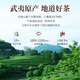 孝文家茶乌龙茶红典武夷岩茶大红袍一级149.4g中轻火茶叶礼盒自饮