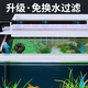Changrui Small Fish Tank Small Desktop Living Room Household Glass No-Water Change Mini CR230+ Water Orchid Green Bamboo Scenery (Real Aquatic Plants)