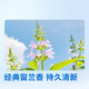 Hecho en Jingdong, Aminoácido Pasta de dientes gingival 225g*3 Classal de regaliz de menta clásico para fortalecer los dientes blancos brillantes y tono fresco suave
