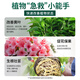 Mu Yunyao nutrient solution plant universal flower fertilizer fortune tree rich bamboo golden kudzu hydroponic potted household flower fertilizer large package universal nutrient solution 2500ml*1 bottle + rooting powder 2 packs