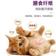 OUOETY cat food 10 Jin Jin is equal to 0.5 kg. Ordinary kitten special food for domestic cats. Rural cat food. Chinese pastoral cat. Orange cat. Adult cat. Affordable package. High-end general food. 10 Jin Jin is equal to 0.5 kg (fattening gills) 0b