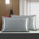 Almohadas de verano para hombres Summer Summer Silk Pillow Case de almohada de doble cara cubierta de núcleo de almohada de ratán fresco para adultos más enredadera de hielo 679-7 (lavable) predeterminado 48*74 estuche de almohada (un par)