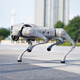 
Yushu (Unitree) Voice AI Model Robot Dog Electronic Dog Embodied Intelligence Accompaniment Bionic Companion Robot Four-legged Robot Dog Spot Go2-PRO Long Battery + Remote Control