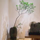 Island Spring Blume Grouper Island Gardenia Island Stein Maple Island Spring Blume 1098 ist etwa 1,5 Meter hoch und enthält keine Töpfe