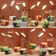 USB plug-in table lamp LED desk lamp mobile phone holder pen holder cartoon desktop ornaments children's gift night light cute little desk lamp kindergarten Children's Day gift cute pet lamb + pen holder function + plug-in style random color