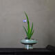 Yu Senyi picks up the littered old antique old high-legged vase old items new Chinese tea room ornaments literati flower arrangement utensil Japanese style emerald green number 1278 lonely flower utensil medium