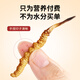 同芙 冬虫夏草2根/g 10g 20根礼盒装 滋补营养补品送长辈礼品礼物