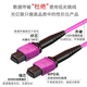 Guangyilian Fiber Optic Charm-MPO-MPO-LC 10 Gigabit multimode Senko MPO femelle B Polarité LSZH Contrôle de tronc pour module optique 40G / 100G 24 Core (OM4) MPO-MPO 1 mètre
