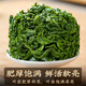 安纯安溪特级铁观音新茶2025春茶浓香型乌龙茶茶叶礼盒500g父亲节送礼 【送礼选它】铁观音礼盒500g