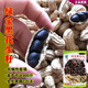 Black peanut seeds, sown in spring and summer, purple and black peanut seeds, black seed peanuts, original peanuts for field use, net weight in shell, 500 grams