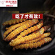 
Beijing Tongrentang [Black Friday] Cordyceps sinensis cordyceps dry goods at the beginning of the first period of the wine and make soup. Selected two cordyceps one gram [10 pieces of bags