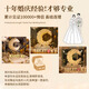 Deshuangman romantic proposal arrangement indoor and outdoor performance prop set meal birthday decoration scene balloon heart-shaped confession artifact [moon is set for life] ins recommended marriage proposal