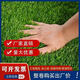 Simulated lawn artificial turf artificial fake lawn carpet simulated plastic lawn mat outdoor 2 cm thick spring grass 2 meters wide * 25 long