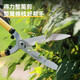 Deli hedge shears, pruning shears, garden hedge shears, retractable branch gardening lawn wave incision pruning DL2806