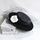 Gisela Hepburn style hat, autumn and winter European and American celebrity small fragrance light luxury Hepburn style photography photography felt hat retro British black pearl felt hat