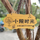 Kezhiyuan wooden sign with custom engraving, personalized and creative wooden sign, beautiful courtyard garden tree sign, wooden sign, my courtyard door sign, atmosphere, size and content customized 30x14cm