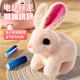 
Agile baby plush toys children's electric bunny can yell and make sound when walking. Baby girl's 3-6th birthday gift