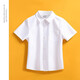 Naijatu children's shirt short-sleeved boys and girls white shirt thin solid color middle and large children's performance school uniform white 120