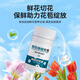 Xinyin chlorine dioxide effervescent tablets for flowers and green plants, special sterilizing water purifier for flowers and green plants, inserted into flower preservatives 100 tablets