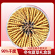 Kangsils neue getrocknete Cordyceps authentisch getrocknete Cordyceps Geschenkbox, um die Auswahlqualität von Cordyceps für Älteste zu nähren und zu nähren.