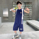 Niños Summer Seda Seda de color secado rápido Uniforme de baloncesto sin mangas 2025 Nuevo chaleco delgado de los niños pantalones cortos de chalecos delgados de los niños Traje gris (Top + pantalones sin mangas) 160 (recomendado dentro de 150)