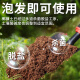 Genlibean coconut brick nutritious soil and flowering general type coconut shell brick flower soil soil planting soil vegetable desalinated coconut bran brick wholesale desalinated coconut bran brick [675G three pieces]