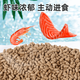 Beijing yoyu calidad alemana tortuga amarilla comida tortuga amarilla tortuga cerrada tortuga caja de tortuga especial tortuga taiyuan anyuan tortuga alimentación actualización actualización de tortuga granul