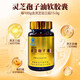 Beijing Tongrentang Changbaisishan Ganoderma Lucidum Spore Huile Capsule Spore Spore Pouile officielle Blue Captide Titerpene Ganoderma Lucidum Capsules avec effet évident [60 capsules * 3 / bouteille]