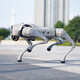 Uniree Voice Ai modèle robot chien électronique chien en relief compagne bionic compagne bionic robot à quatre pattes robot chien go2-air + télécommande