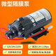 Shanghai manufacturer micro membrane pump micro DC water pump high pressure DC spray film pump high pressure water pump DP-3524V brushless 3