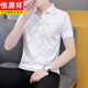Hengyuanxiang Ice Seide Traaceless Polo Shirt Herren Sommer Neues Revers kurzärmelig T-Shirt Herren-Gelegenheits-Top Slim Shirt T-Shirt [Vatertagsgeschenk] Black Qy679 M 100-120jin [Jin gleich 0,5 kg]