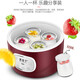 
Xiaomi (MI) Mijia Eco-chain Small Yogurt Machine Fully Automatic Homemade Mini Dormitory Single-person Fermentation Machine Multi-functional Natto Rice Wine Purple (Steel Bladder)