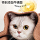 Ergobaby Pet Cat Oreille Atarine Oreau Lavage Liquide Drop oculaires Déchirures de chien Cicatrices Nettoyage Earts Eye Nettoyage Eye Drops Eye Nettoying Liquid
