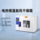 Medical drying box Electric blower constant temperature industrial oven oven laboratory medical dryer precision constant temperature box DHG-9230C (stainless steel inner liner)