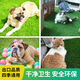 Fake lawn dog toilet lawn mat pet peeing fake turf washable artificial turf mat pet peeing pad 60cm*100cm (white background 2cm tall grass) 1 piece