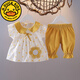 G.Duckkids0-3 Jahre alter Babyanzug Sommer kleines Mädchen Kurzärärmelte Tupfen dünn 689 Monate Baby Girl Zwei-teilige Sommer süße Stickerei Set 80 cm Empfohlene Alter 9-12 Monate