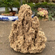Absorbent stone bonsai water rockery stone strange stone fish tank landscaping home decoration water show stone strange stone small ornaments 10-14cm free grass seeds with stones