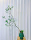 Island Spring Blume Grouper Island Gardenia Island Stein Maple Island Spring Blume 1098 ist etwa 1,5 Meter hoch und enthält keine Töpfe