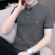 Hailan Precio Especial Bead Floor Polo bordado Polo para la delgada camiseta de manga corta de los hombres Top de la solapa de verano Breatable S5012 Azul XL adecuado para 130-145 Jin [Jin iguala 0.5 kg]