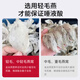 正典燕窝 全家福50g马来西亚进口干燕窝干盏孕妇老人补品 【佟丽娅推荐】 【3星】全家福50g