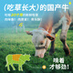 Crazy puppy pet dog snack teeth grinding beef bones adult puppy small large dog teeth resistant to gnawing air dry steak 130g