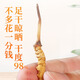 Grasgräber [wirklich] Wild Cordyceps sinensis tibetaner wildes Cordyceps Gesundheit Tonic Geschenkbox Geschenk für Menschen mittleren Alters und älteren Menschen. Grad 3 Gras 1 Gramm vier 30 Gramm Geschenkbox Wild Cordyceps sinensis