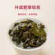万山红正宗安溪铁观音乌龙茶清香型一级500g罐装茶叶老婆生日礼物