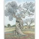 Reconnaissez la version authentique Tree Andersen Awersen Award Books, littérature, art, science, popularité, livres d'images pour adultes, vagues, sn3893 livre unique, SN9507