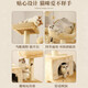Huayuan pet equipment (hoopet) cat climbing frame super large cat nest cat tree integrated extra large cat climbing column cat shelf cat toys supplies cat villa