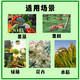 【水果专用型】快速膨果增甜增产提质促花果树种果氮磷钾复合肥 【水果专用型】3斤