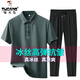 Specht Vatertagsgeschenk zweiteiliger Eis Silk Kurzarm T-Shirt männlicher Vater Sommer Stretch im mittleren Alter kühles Polo-Lappel-Hemd 6630-08 Ulan + Schwarze Shorts (zweiteilige Set) m